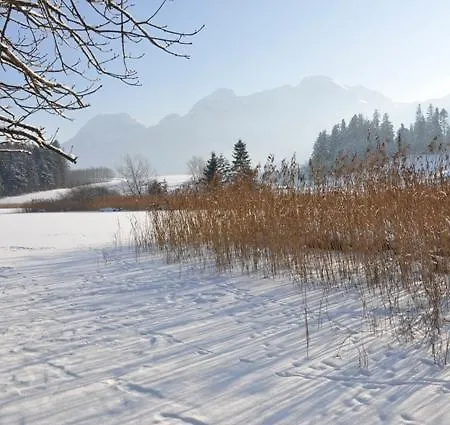 Haus Katholnigg Lägenhet Abtenau